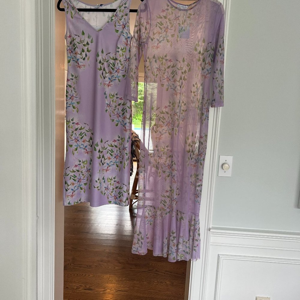 Ala von Auersperg dress